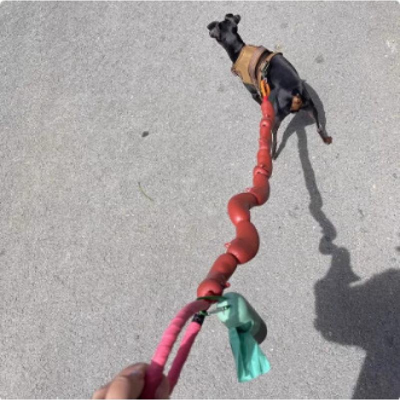 Koera veojõunöör suurte vorstide nöör, naljakad inimesed, väikesed ja keskmise suurusega koerad, taksikoer, corgi, lemmikloomatarbed, koera jalutusköis