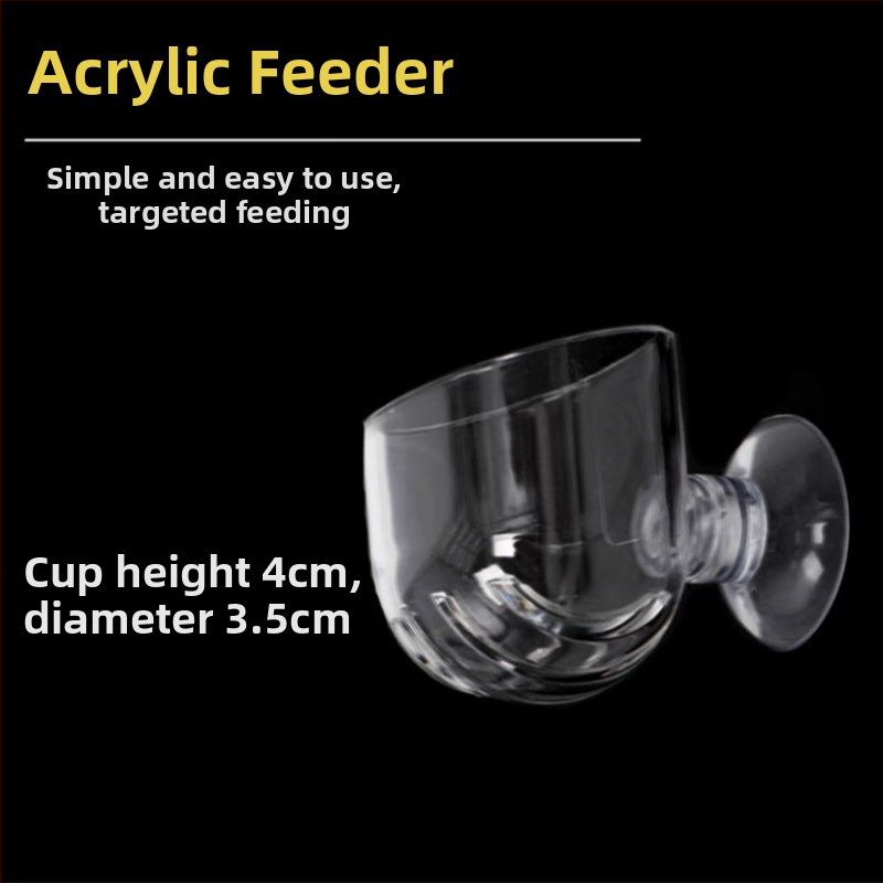 Sarkano tārpu barotava Sarkano tārpu stikla kauss Piltuve Barošanas gredzens Nematožu kauss Zivju barošana Nematodu sālījuma garneļu kauss Barošanas kauss