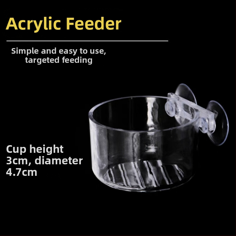 Sarkano tārpu barotava Sarkano tārpu stikla kauss Piltuve Barošanas gredzens Nematožu kauss Zivju barošana Nematodu sālījuma garneļu kauss Barošanas kauss