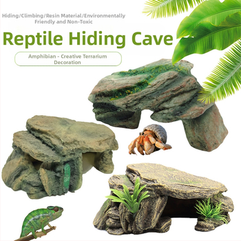 Roomaja Lemmikloom Peitumine Madu Geko Sisalik Ämblikukoobas Simuleeritud kaljuhaljastus Roomaja sulgimine Paljunemiskast Puuauk Päikeseterrass