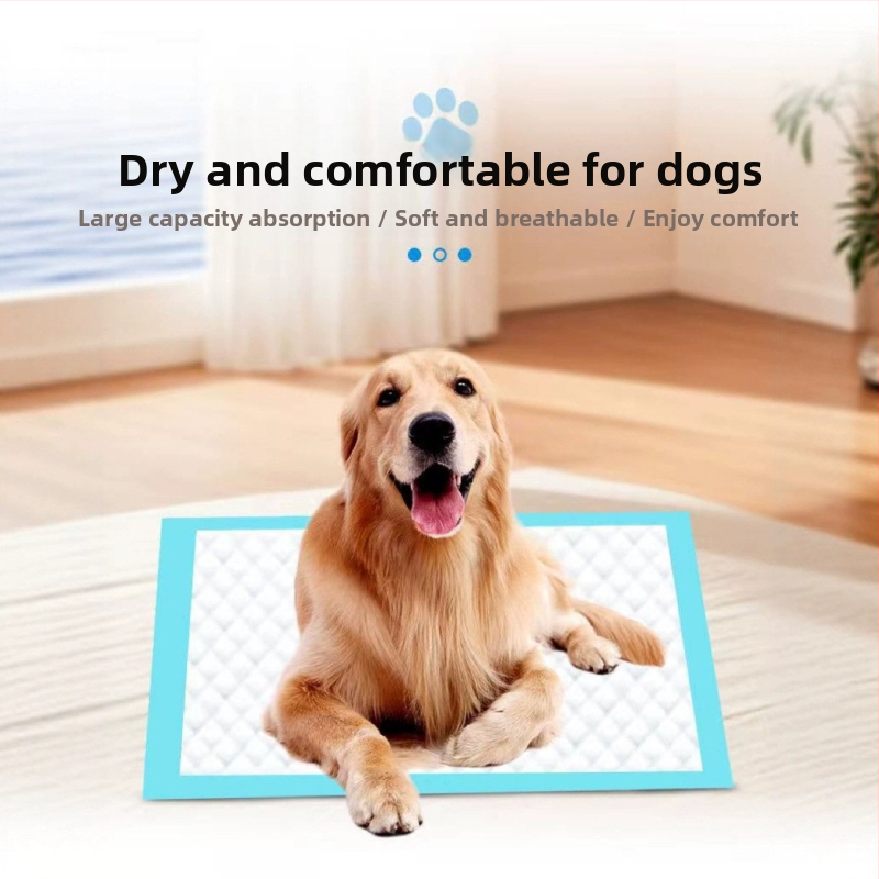 Памперси за домашни любимци, Памперси за кучета, Домашни любимци, Незабавно засмукване, Непропускливи подложки за еднократна употреба, Подложки за пелени, Фабрични подложки за домашни любимци