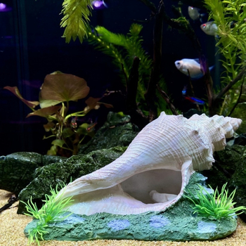 Διακόσμηση Ενυδρείου με Ψάρια Διαμόρφωση Τοπίου Γοργόνα Διακόσμηση Ενυδρείου Δημιουργικό Τοπίο Στολίδια Κοχύλια