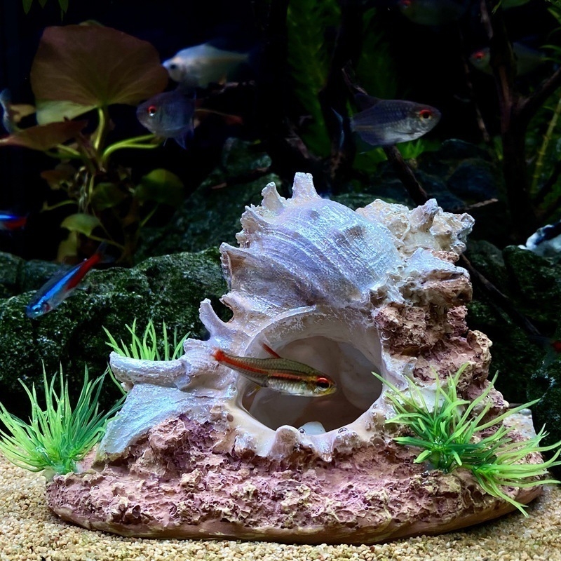 Akvaariumi kaunistused, haljastus, merineitsi, akvaariumi kaunistused, loominguline maastik, merikarpide kaunistused