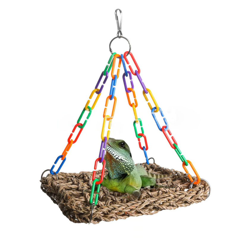 Piiriülene roomaja võrkkiik sisalik peesitamisplatvorm võrkkiik veetaimedest kootud võrkkiik õlgedest kootud sisaliku mänguasi linnupuur papagoi võrkkiik