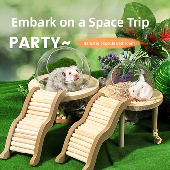 Žiurkėno vonios kambario erdvės kapsulė Vonios kambarys Tualetas Dvigubo naudojimo Auksinio lokio maudymosi vonios kūnas Šlapimas Smėlis Vonios smėlis Apsauga nuo taškymosi