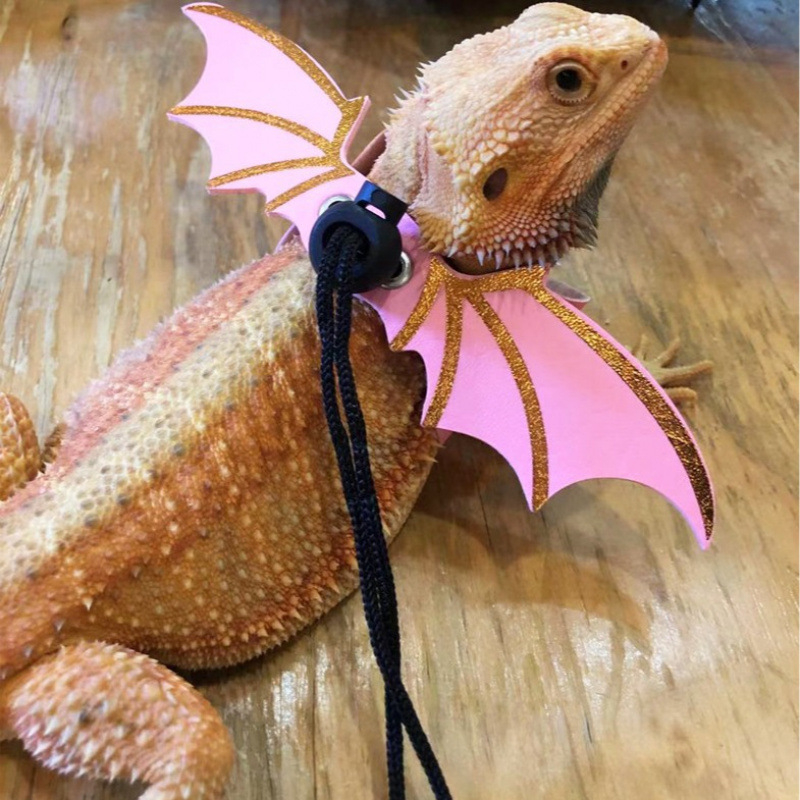 Sisaliku rihm, roomaja lemmiklooma õuerihm, sisaliku jalutusrihm, väikese lemmiklooma rihm, värviline tiivarihm