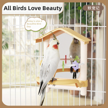 Μεγάλο κρεμαστό κλουβί με διακοσμητικό καθρέφτη παπαγάλου για παπαγαλάκια, πιτσουνάκια, κοκατίλ και μικρά πουλιά