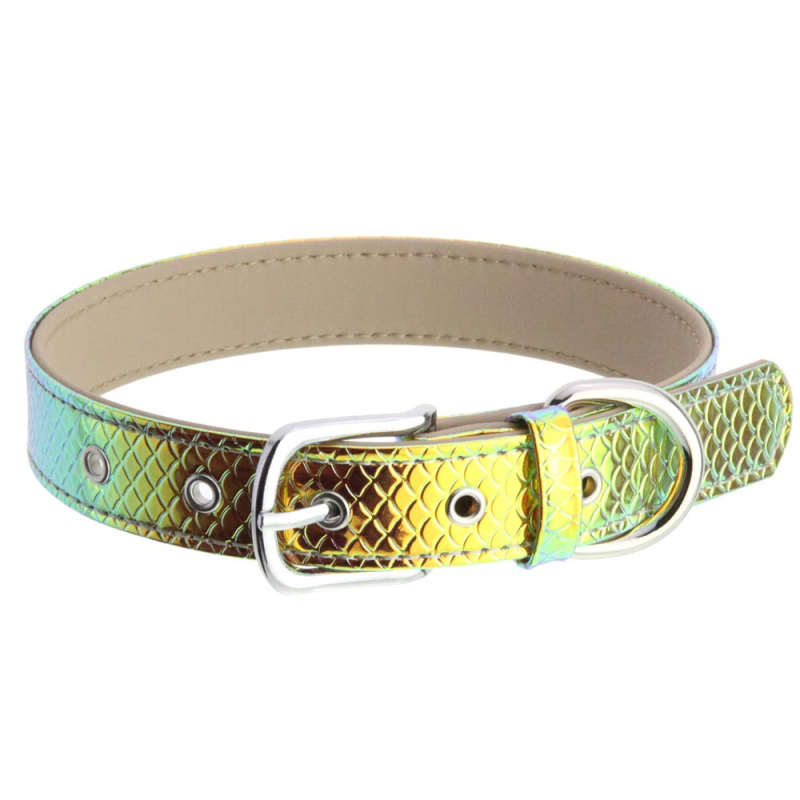 Mugav maagiline värviline laserhelendav optimaalne koerakaelarihm mikrokiust mao mustriga reguleeritav kassi ja koera lemmikloomatarvikud kaelarihm