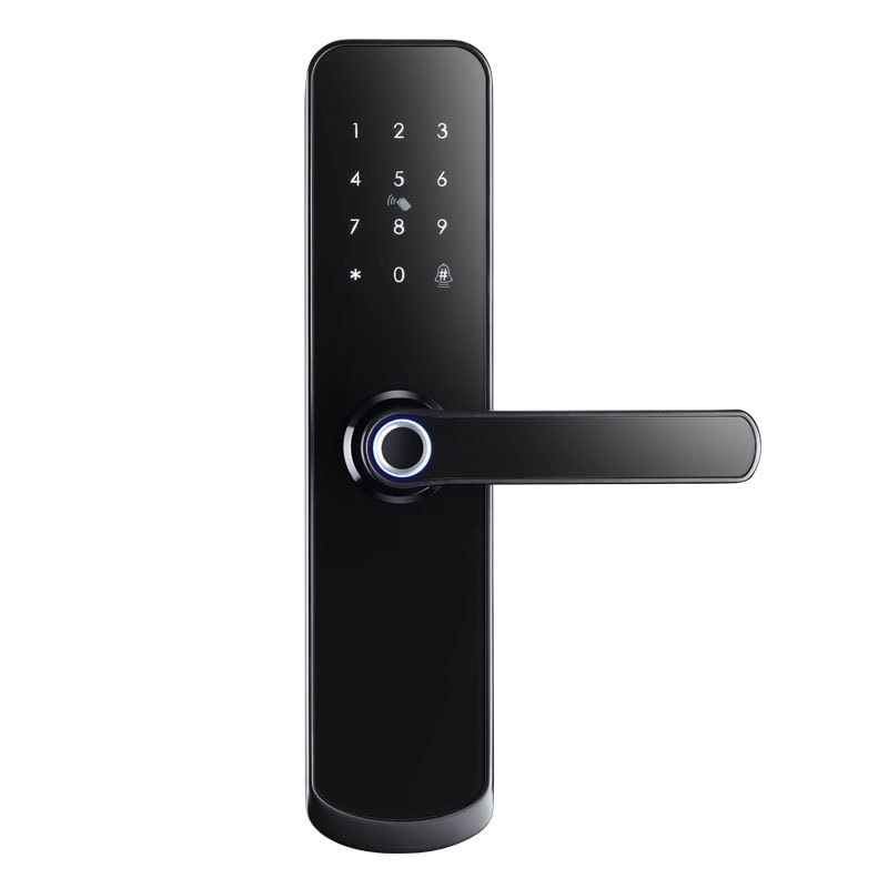 Piiriülene Kagu-Aasia korteri kontori sisemine puidust ukse sõrmejäljelukk WiFi TTLOCKAPP elektrooniline numbrilukk