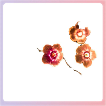 ✅ LED медна тел светло розова цветна светлинна верига за външна декорация на двора форма мигащ фенер с момиче сърце изцяло медна тел