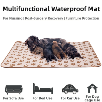 Lemmikloomade mähkmepadi pestav uriinivastane libisemisvastane kassi- ja koeramähe korduv imav mähkmetreeningkoera mähkmepadi