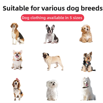 Διασυνοριακό Φθινόπωρο και Χειμώνας Νέο Αδιάβροχο για Σκύλους με Χρώματα, Ρούχα για Κατοικίδια, Νέα Μοντέρνα Μάρκα για Μικρά Σκυλιά