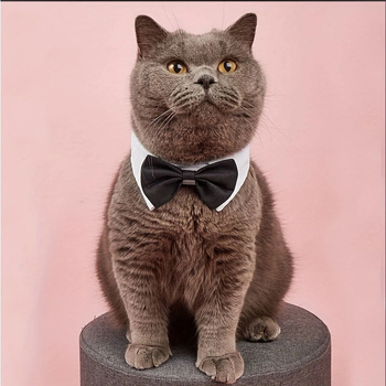 Határokon átnyúló macskadivatos csokornyakkendő, kisállat ünnepi úriember kutya csokornyakkendő, brit stílusú, jóképű, fekete, címkézhető