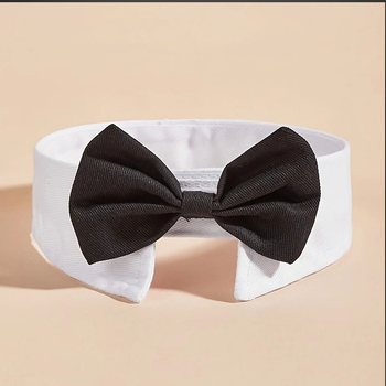 Παπιγιόν για γάτες, κατοικίδιο, γιορτινό, τζέντλεμαν, βρετανικού στιλ, όμορφο, μαύρο, με δυνατότητα ετικέτας