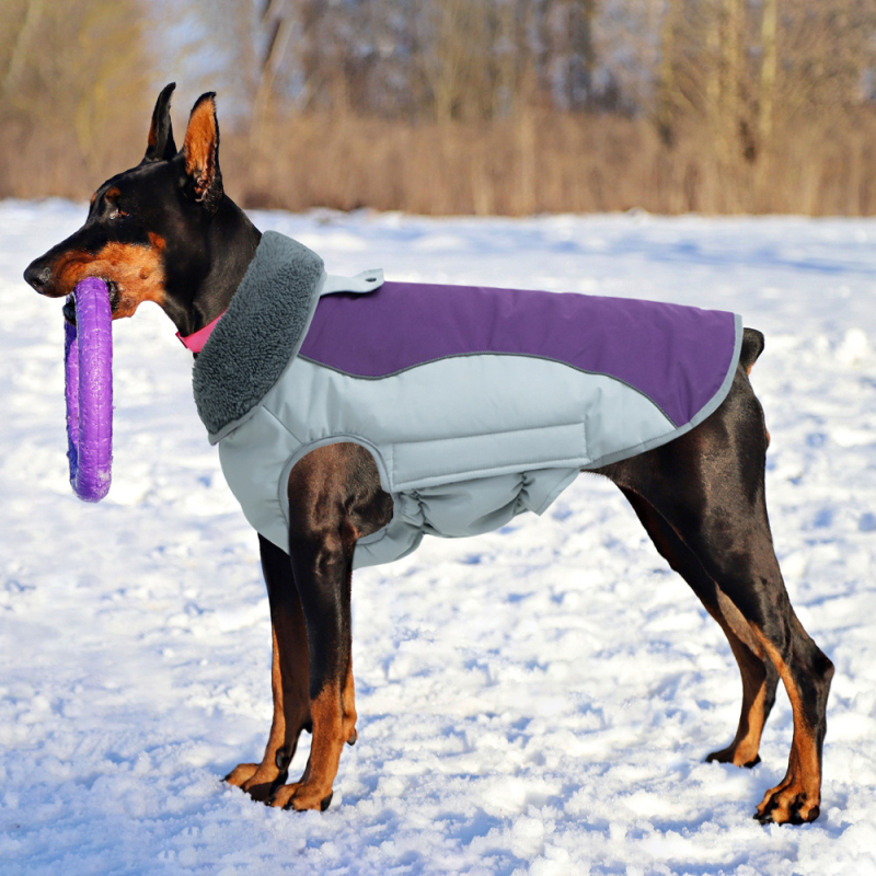 Határokon átnyúló őszi és téli pamut ruhák kisállatoknak, pamut kabátok kutyáknak, Amazon Temu Xiyin vízálló, hidegálló és meleg téli, határokon átnyúló, népszerű termékek