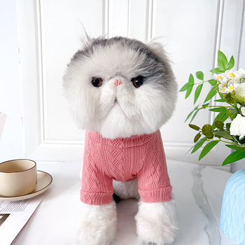 Πουλόβερ για κατοικίδια, νέο εργοστάσιο απευθείας για φθινοπωρινά και χειμερινά ρούχα για γάτες και σκύλους, πουλόβερ για γάτες και σκύλους, εξωτερικό εμπόριο διασυνοριακά