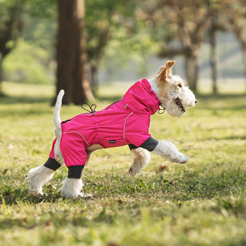 Kutya esőkabát nagy, közepes és kis méretű kutyáknak, Univerzális kültéri időjárásálló kabát, Mindent tartalmazó kisállat esőkabát, Hegyi kutya ruházat