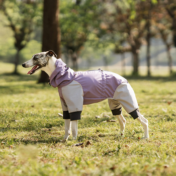 Αδιάβροχο για σκύλους για μεγάλα, μεσαία και μικρά σκυλιά, Αδιάβροχο μπουφάν εξωτερικού χώρου γενικής χρήσης, Αδιάβροχο για κατοικίδια που περιλαμβάνει όλα τα απαραίτητα, Ρούχα για σκύλους βουνού