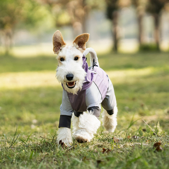 Αδιάβροχο για σκύλους για μεγάλα, μεσαία και μικρά σκυλιά, Αδιάβροχο μπουφάν εξωτερικού χώρου γενικής χρήσης, Αδιάβροχο για κατοικίδια που περιλαμβάνει όλα τα απαραίτητα, Ρούχα για σκύλους βουνού