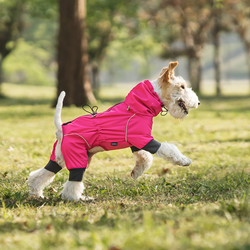 Kutya esőkabát nagy, közepes és kis méretű kutyáknak, Univerzális kültéri időjárásálló kabát, Mindent tartalmazó kisállat esőkabát, Hegyi kutya ruházat