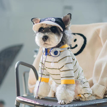 Ρούχα για σκύλους Πολύχρωμα ριγέ ρούχα με τετράποδα Άνετα αναπνεύσιμα ελαστικά καλοκαιρινά λεπτά πουκάμισα με κάτω μέρος Ρούχα για κατοικίδια χονδρικής