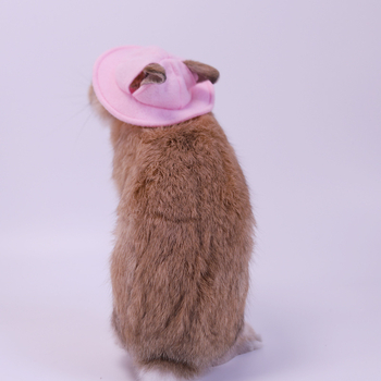Шапка за домашен любимец заек, шапка за котка, нетъкана шапка за преобличане, реквизит за фотография на млечно куче, сладка чинчила