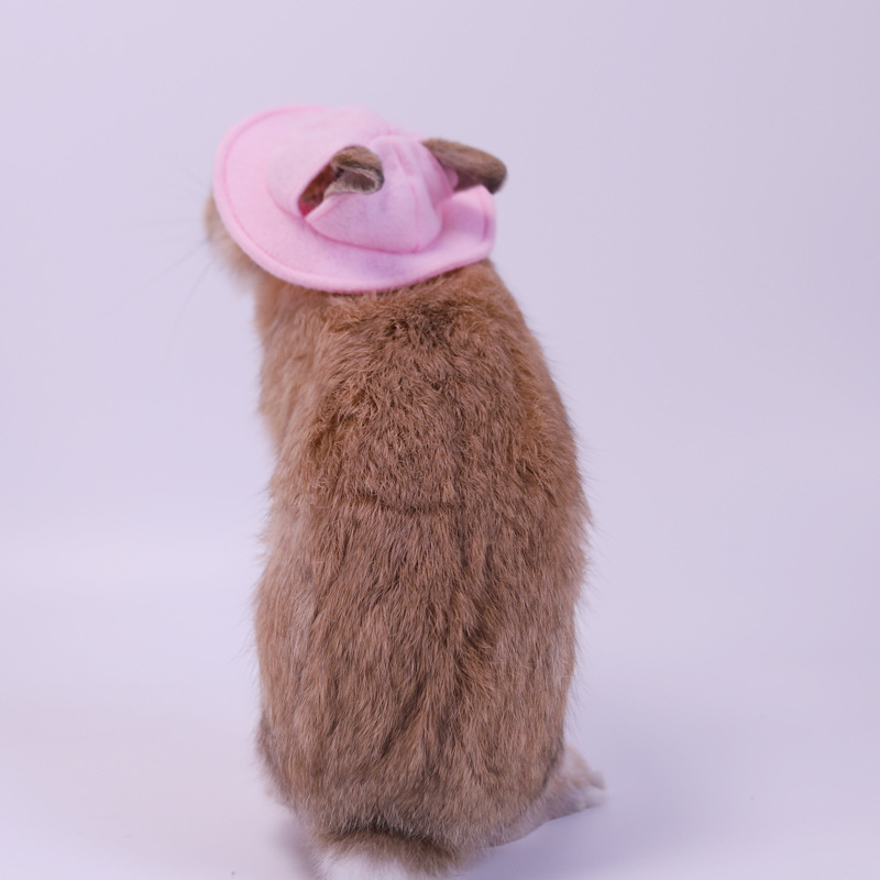 Шапка за домашен любимец заек, шапка за котка, нетъкана шапка за преобличане, реквизит за фотография на млечно куче, сладка чинчила