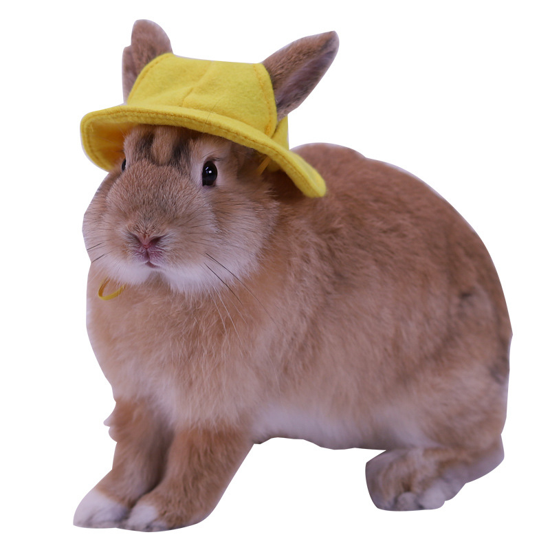 Шапка за домашен любимец заек, шапка за котка, нетъкана шапка за преобличане, реквизит за фотография на млечно куче, сладка чинчила