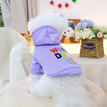 Άμεση προμήθεια εργοστασίου/εξωτερικό εμπόριο σε απόθεμα ρούχα για κατοικίδια, σκύλους, γάτες, ρούχα για γάτες, εξαιρετικό μωβ πουλόβερ