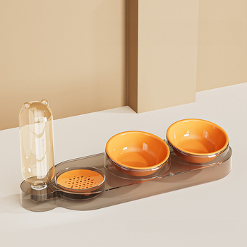 Kisállat itató kettő az egyben multifunkciós tál macska tál kutya tál átlátszó talp dupla tál