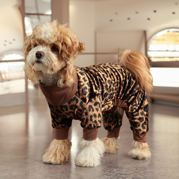 25 uut lemmikloomariietust Klassikaline leoparditrükiga neljajalgne riietus Karvavastased kodupidžaamad Väikese ja keskmise suurusega koera neljajalgne riietus Euroopa ja Ameerika jaoks