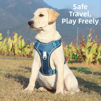 Αυτόματο αναδιπλούμενο λουρί για σκύλους, σχοινί για σκύλους, γιλέκο \