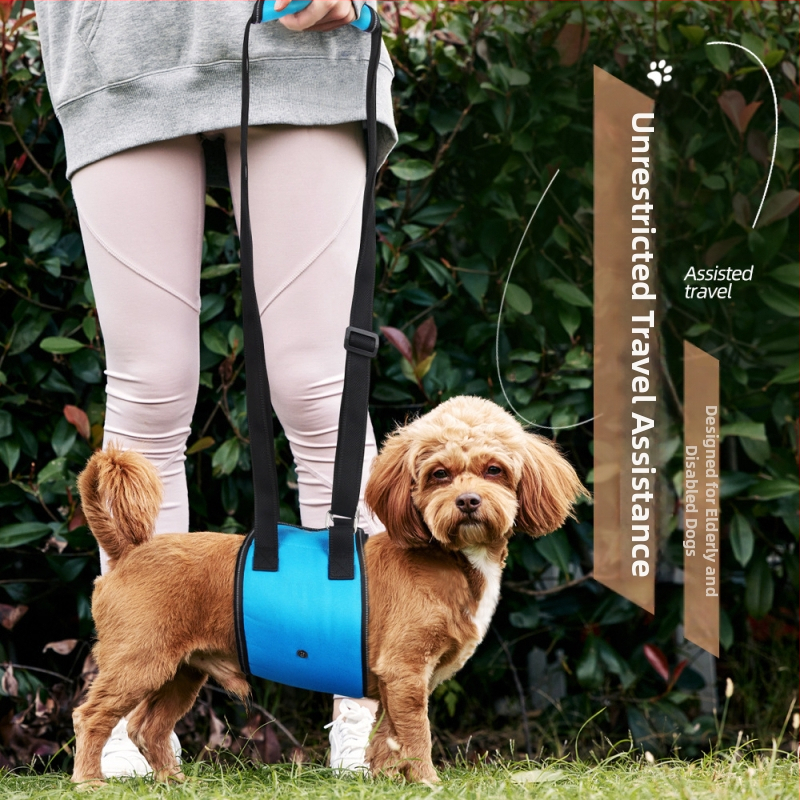 Határokon átnyúló exkluzív kutyáknak szóló vonókötél fogyatékkal élő kutyáknak idős kutyáknak szóló kiegészítő mellkasi emelő heveder kisállat mellkasi heveder nagykereskedelem