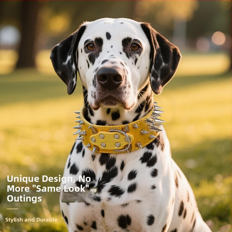 Piiriülene suurte koerte kaelarihm neetidega kaelakaitse krokodillimustriga hundihammastega laiendatud kumer tugev hammustusvastane nael hulgimüügist