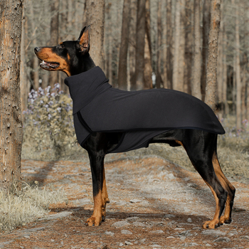 Koerariided, ühevärviline tikkimine, piiriülene väliskaubandus, Euroopa ja Ameerika, Amazoni lemmikloomade tikkimine, ühevärviline soe kõrge kaelusega koerariided