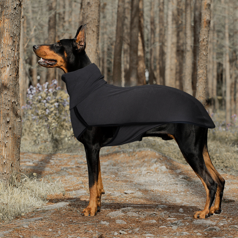 Koerariided, ühevärviline tikkimine, piiriülene väliskaubandus, Euroopa ja Ameerika, Amazoni lemmikloomade tikkimine, ühevärviline soe kõrge kaelusega koerariided