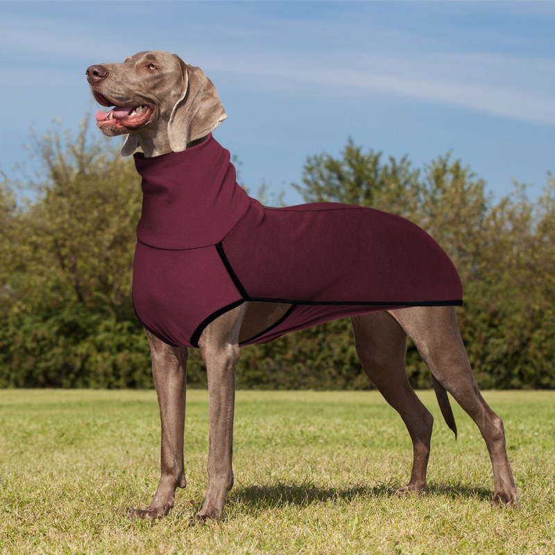 Koerariided, ühevärviline tikkimine, piiriülene väliskaubandus, Euroopa ja Ameerika, Amazoni lemmikloomade tikkimine, ühevärviline soe kõrge kaelusega koerariided