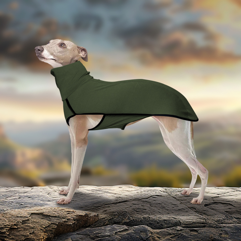 Koerariided, ühevärviline tikkimine, piiriülene väliskaubandus, Euroopa ja Ameerika, Amazoni lemmikloomade tikkimine, ühevärviline soe kõrge kaelusega koerariided