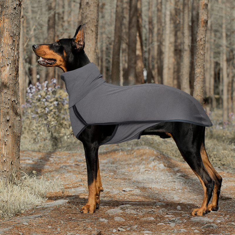 Koerariided, ühevärviline tikkimine, piiriülene väliskaubandus, Euroopa ja Ameerika, Amazoni lemmikloomade tikkimine, ühevärviline soe kõrge kaelusega koerariided