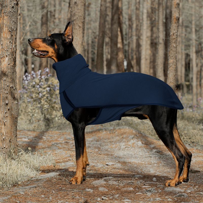 Koerariided, ühevärviline tikkimine, piiriülene väliskaubandus, Euroopa ja Ameerika, Amazoni lemmikloomade tikkimine, ühevärviline soe kõrge kaelusega koerariided