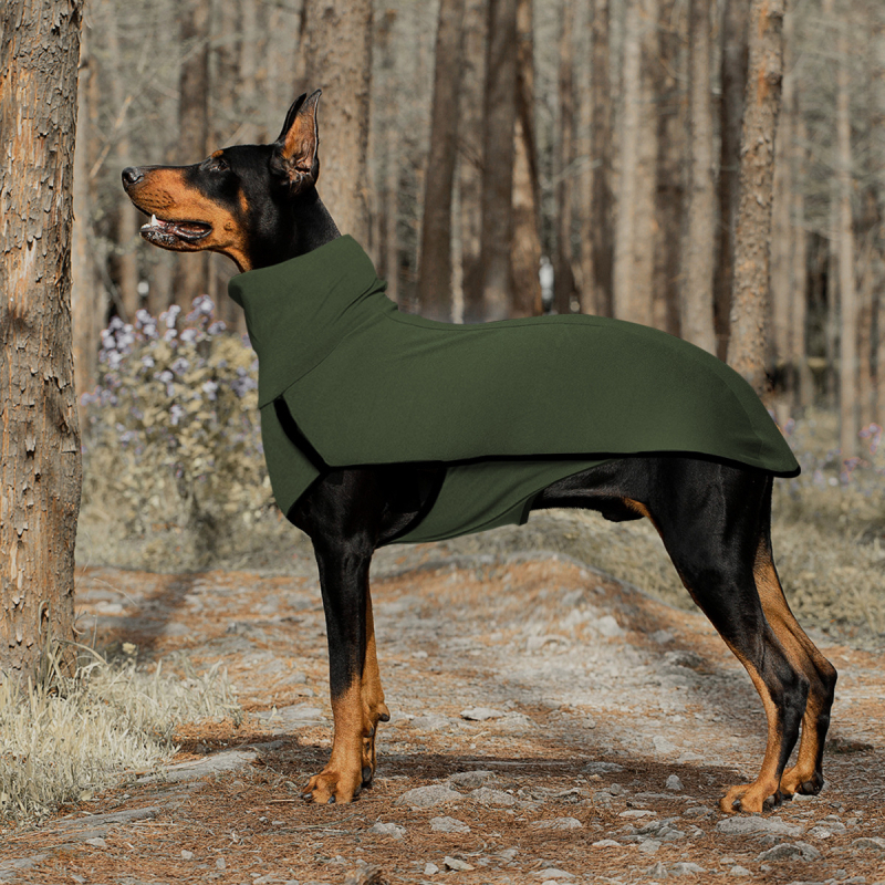 Koerariided, ühevärviline tikkimine, piiriülene väliskaubandus, Euroopa ja Ameerika, Amazoni lemmikloomade tikkimine, ühevärviline soe kõrge kaelusega koerariided