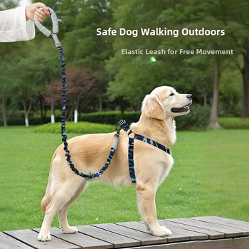 Νέο διασυνοριακό σετ σχοινιών βόλτας για κατοικίδια, ελαστικό σχοινί έλξης με αντιεκρηκτική προστασία για σκύλους, για μικρό και μεσαίο μέγεθος, σετ σχοινιών βόλτας για σκύλους
