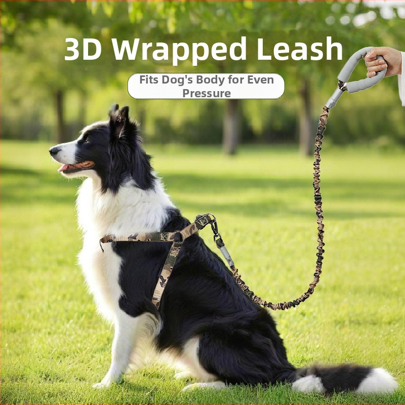 Határokon átnyúló új kisállat hám kutyáknak, rugalmas, robbanásbiztos húzókötél, kis és közepes méretű mellény stílusú kutyáknak való sétakötél-készlet