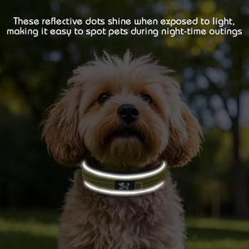Αναπνεύσιμο νάιλον ανακλαστικό κολάρο κατοικίδιων ζώων, κολάρο σκύλου με επένδυση από ύφασμα κατάδυσης, μικρό και μεσαίο δημοφιλές κολάρο σκύλου Amazon