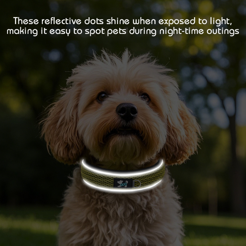 Lélegző nejlon fényvisszaverő kisállat nyakörv, búvárruhával bélelt kutyanyakörv, kis és közepes méretű Amazon népszerű kutyanyakörv