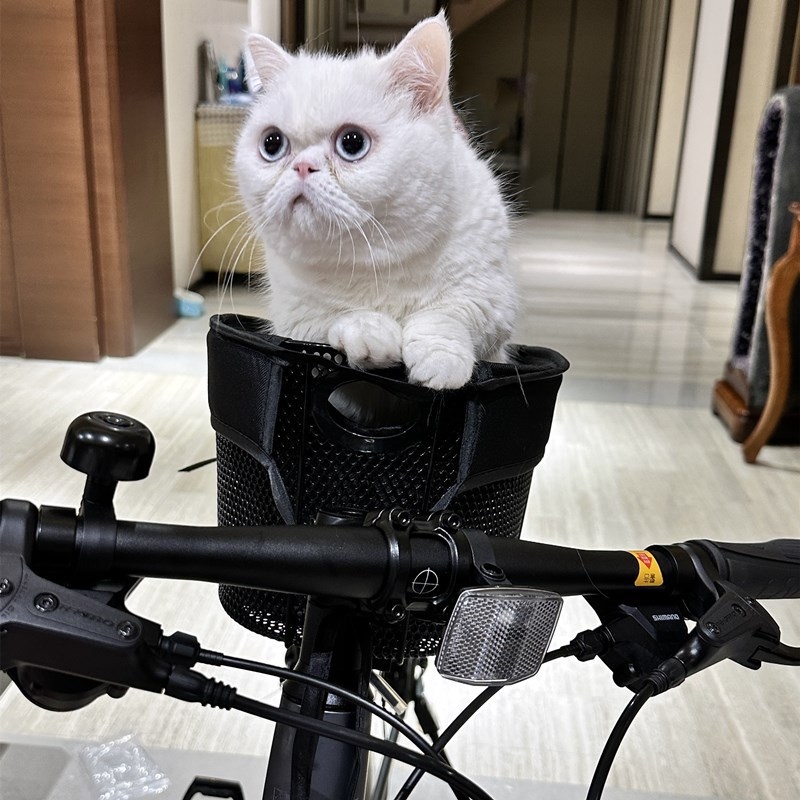 Kerékpár kisállat ülés Hegyi kerékpár kutyával Országúti kerékpár kutyakosár Összecsukható autós kosár kölyökkutyáknak