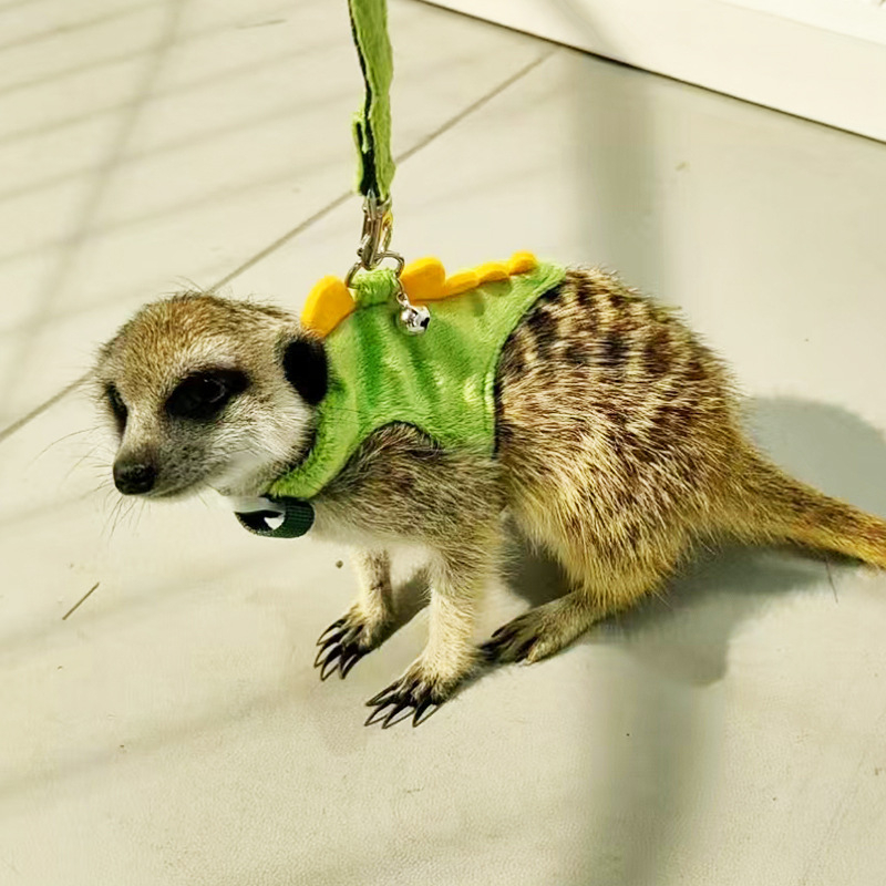 Dinoszaurusz húzókötél mellény stílusú kisállat póráz görénylánc kisállat róka kültéri elvesztésgátló hám húzókötél