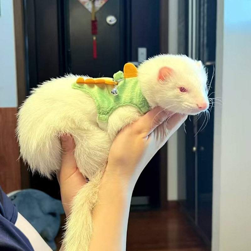 Dinoszaurusz húzókötél mellény stílusú kisállat póráz görénylánc kisállat róka kültéri elvesztésgátló hám húzókötél