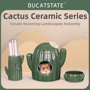 Buka Star kaktusehamstri pesa keraamiline kauss, pott, veepudel, veekeetjahoidja, Golden Bear Shelter, maastikutarbed