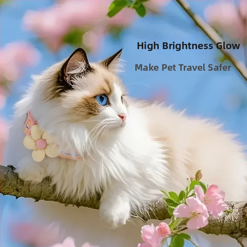 Нов нашийник за котки против откъсване, светлоотразителен нашийник против изгубване на котка, регулируем среден нашийник за домашни любимци
